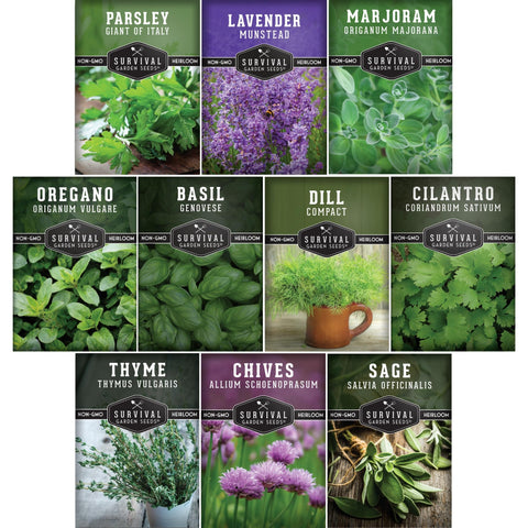 Survival Garden Seeds basil leaves close-up, perfect for fresh daily cooking.