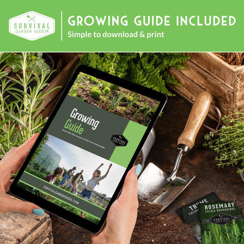 SURVIVAL GARDEN SEEDS bath-scrubber-idea natural scrubbers from young loofahs