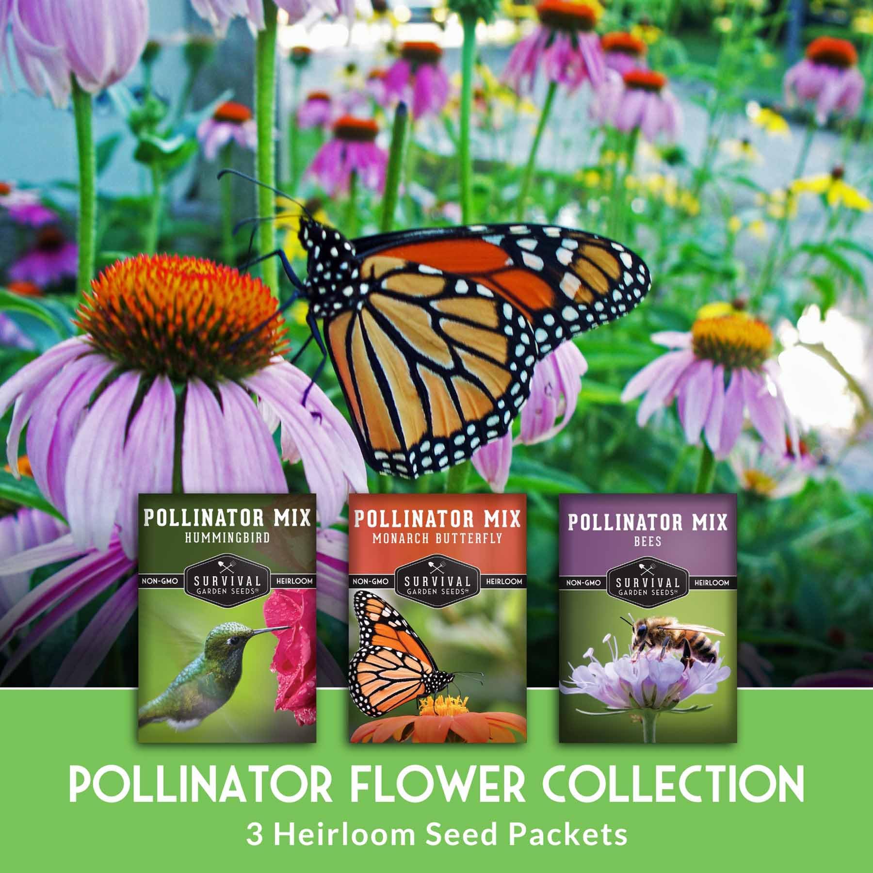Survival Garden Seeds bees mix blooms support pollinators and garden health.