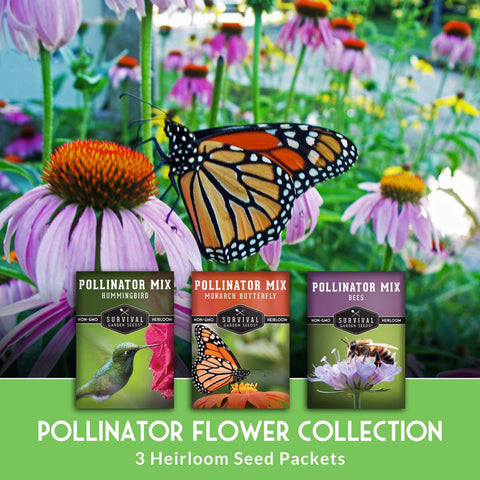 Survival Garden Seeds bees mix blooms support pollinators and garden health.