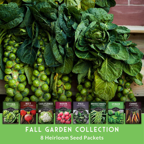 SURVIVAL GARDEN SEEDS beets carrots spinach closeup highlighting harvest potential.