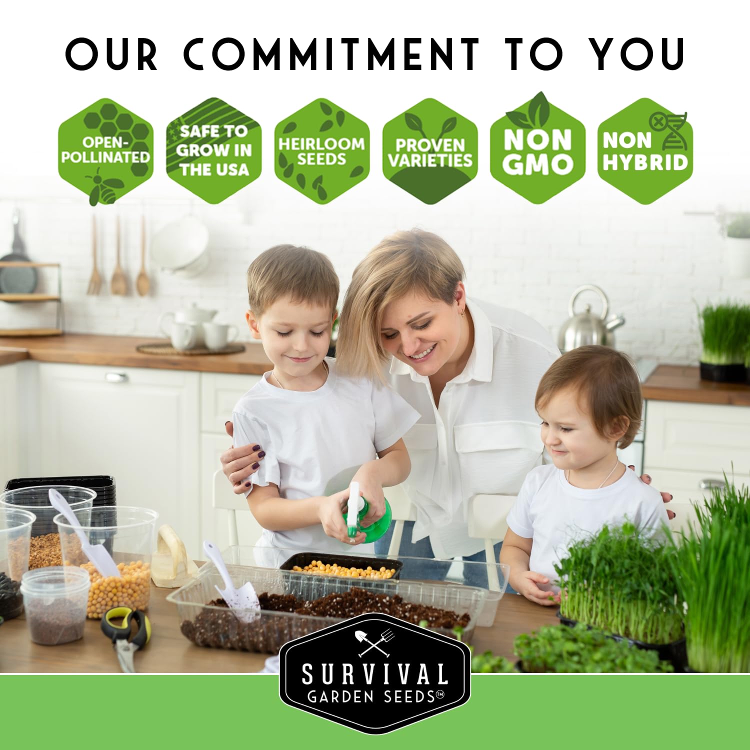 SURVIVAL GARDEN SEEDS beginner-friendly kitchen garden enables effortless sprouting.