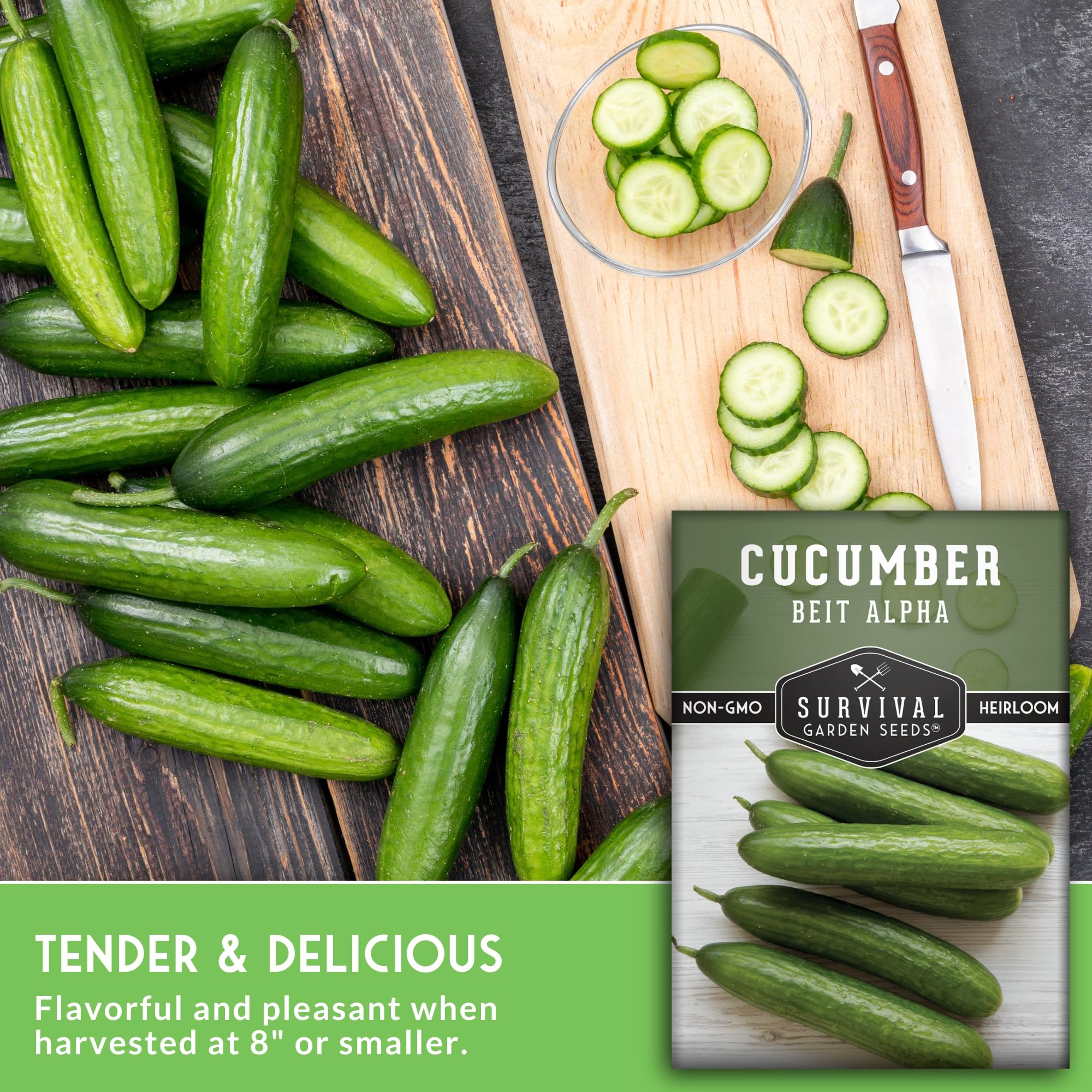 Beit Alpha cucumber fruit close-up from SURVIVAL GARDEN SEEDS with smooth skin