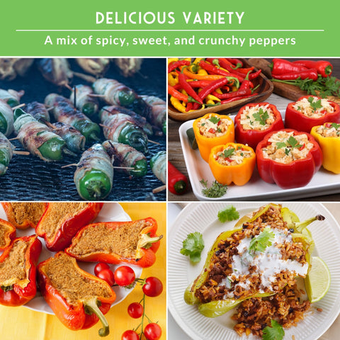 SURVIVAL GARDEN SEEDS big red pepper seeds for colorful, sweet peppers