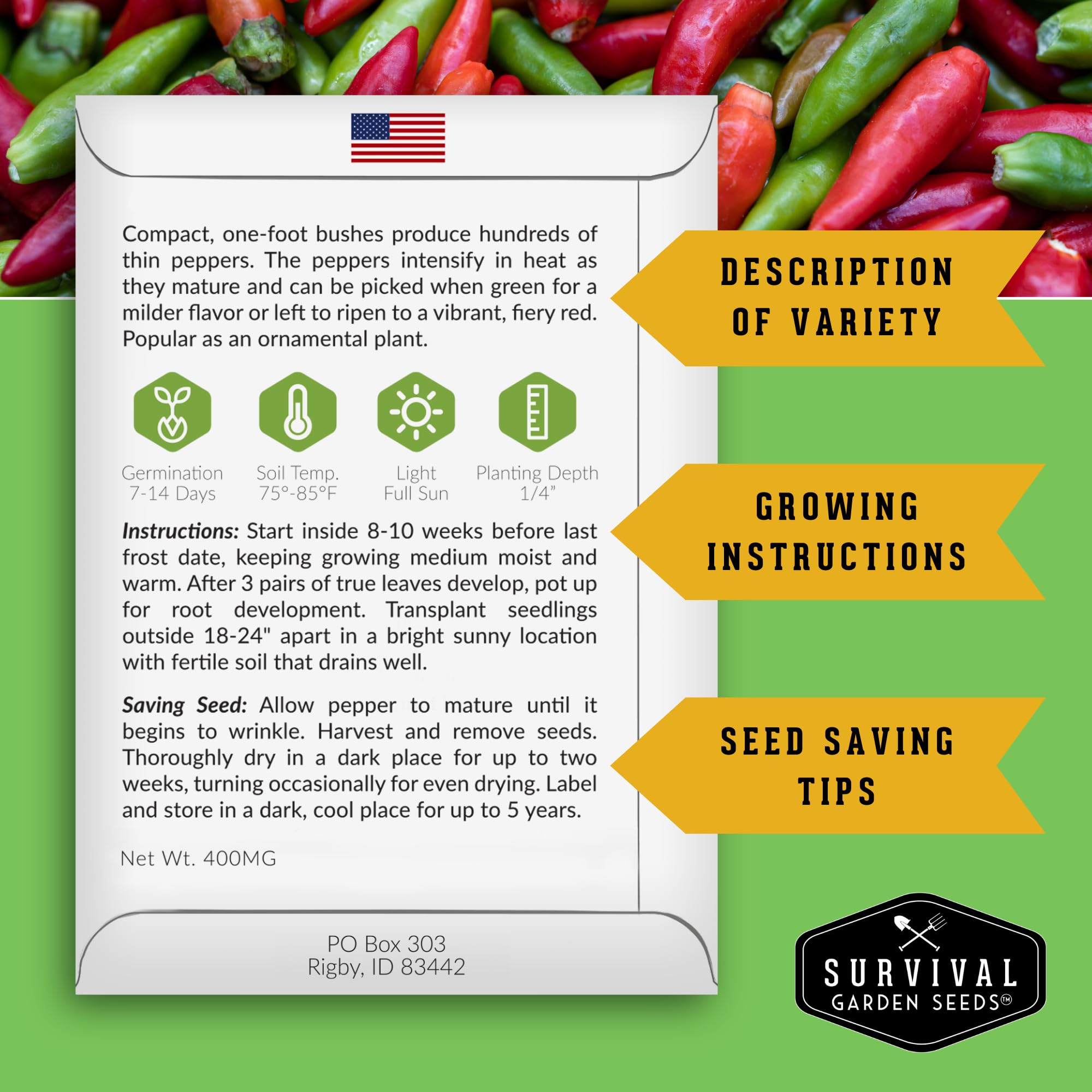 SURVIVAL GARDEN SEEDS Birdseye peppers in container image for compact high-yield growth.