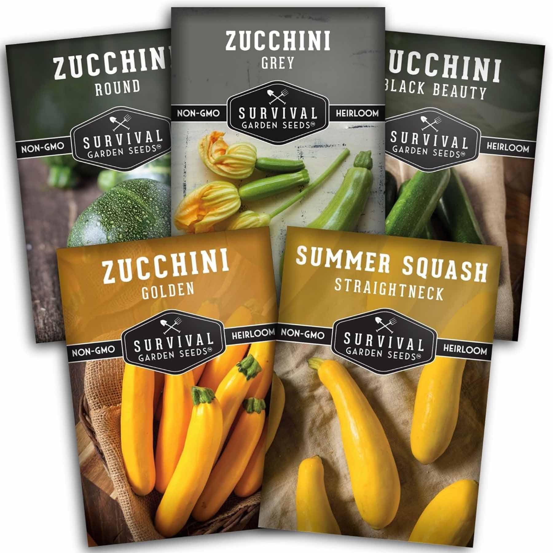 Survival Garden Seeds Black Beauty zucchini seed packet for easy home gardening