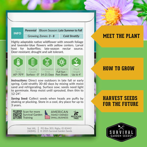 Survival Garden Seeds black-eyed susan flower invites beneficial insects and bright summer beds.