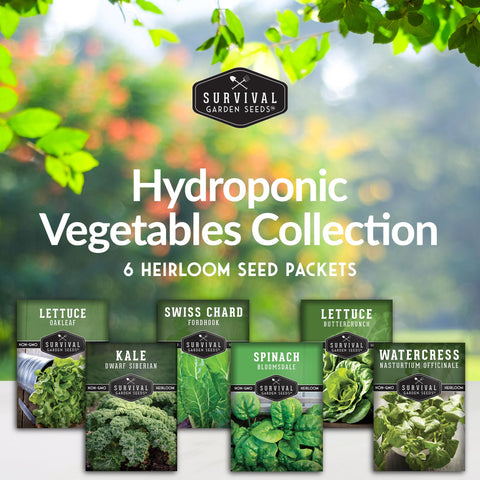 SURVIVAL GARDEN SEEDS Bloomsdale spinach seeds for silky indoor leaves and year round harvestability.