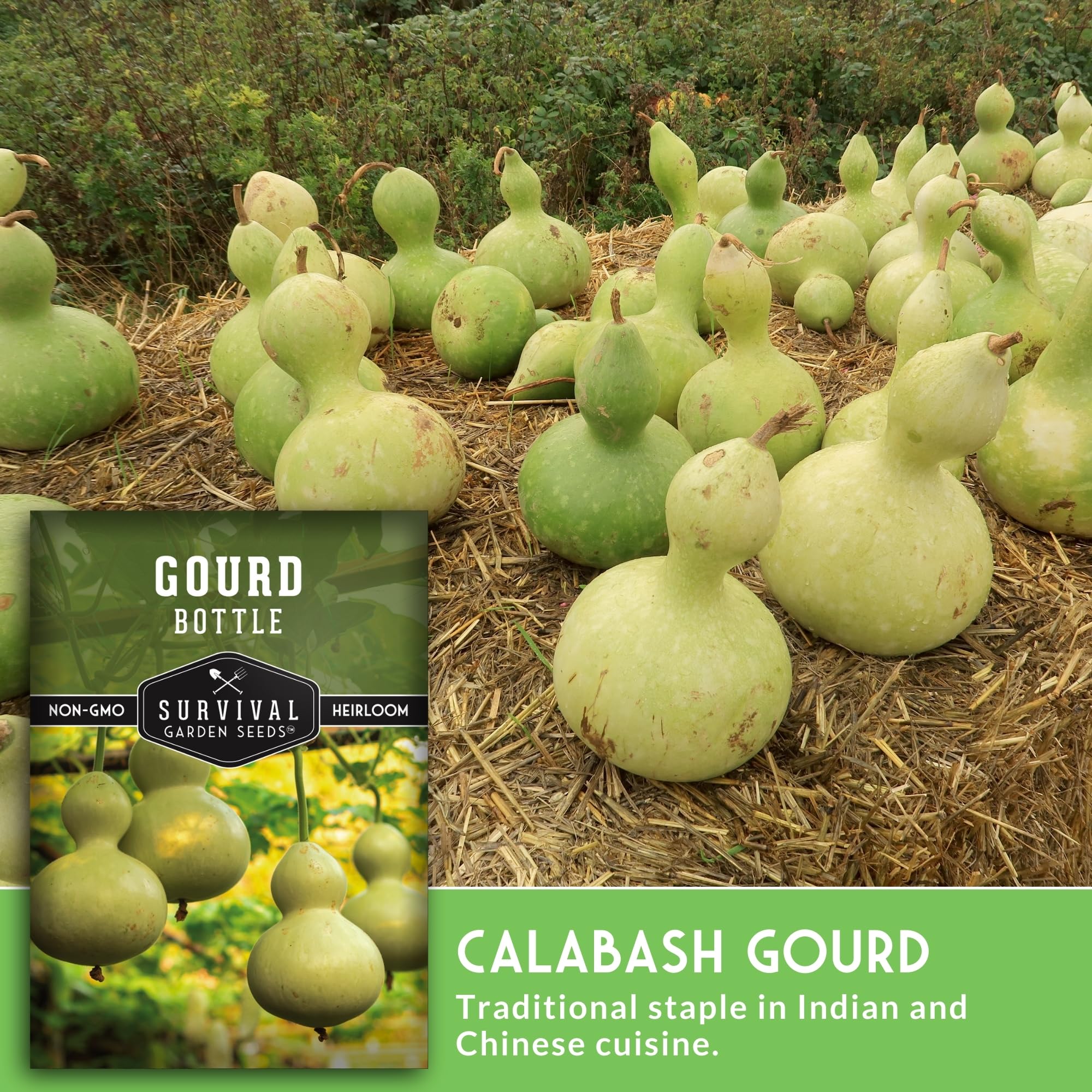 SURVIVAL GARDEN SEEDS bottle gourd drying for crafts and birdhouses
