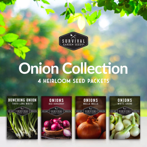 Survival Garden Seeds bunching onion seed pack for greens and stems.