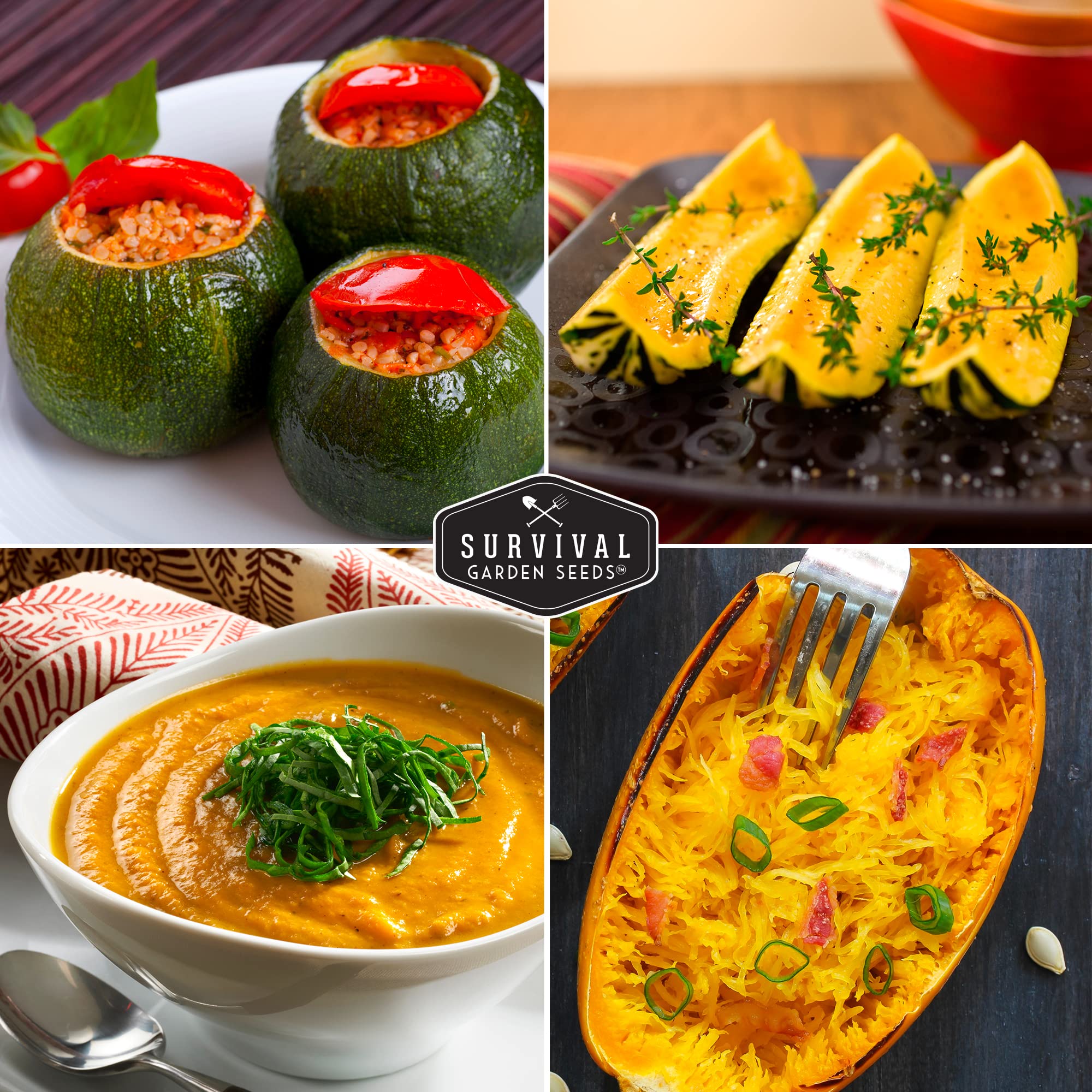 SURVIVAL GARDEN SEEDS butternut squash seed packet with orange flesh for versatile dishes