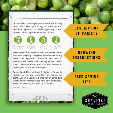 SURVIVAL GARDEN SEEDS catskill-brussels-sprouts-seed-pack yields large cool-season harvests.