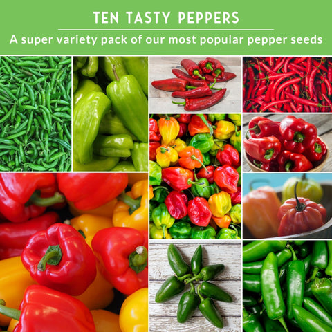 SURVIVAL GARDEN SEEDS cayenne seeds for sauces, drying, and spice blends