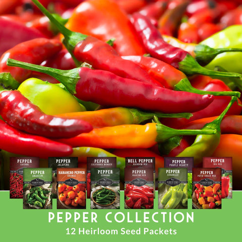 SURVIVAL GARDEN SEEDS Cayenne peppers for hot, smoky dishes