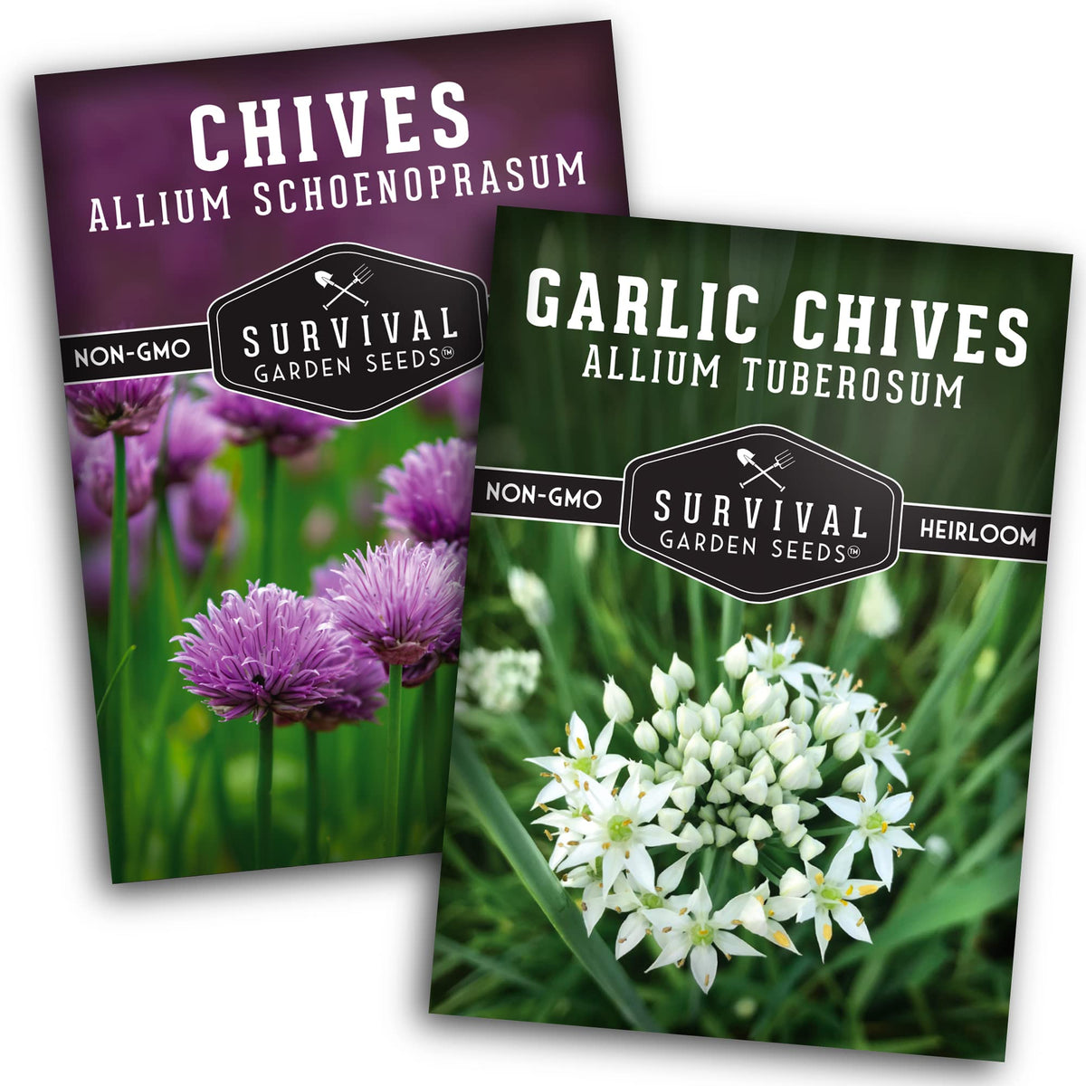 SURVIVAL GARDEN SEEDS chive seed collection pack for fresh herbs at home
