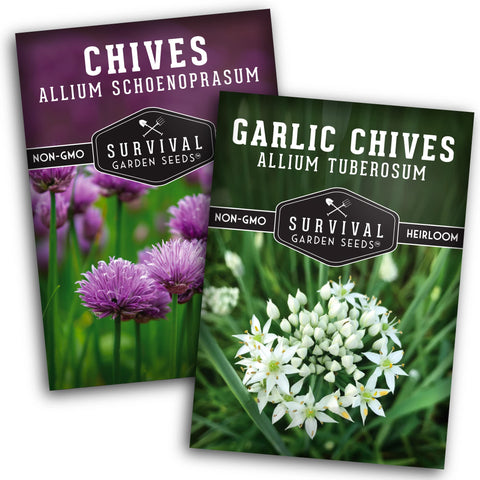 SURVIVAL GARDEN SEEDS chive seed collection pack for fresh herbs at home