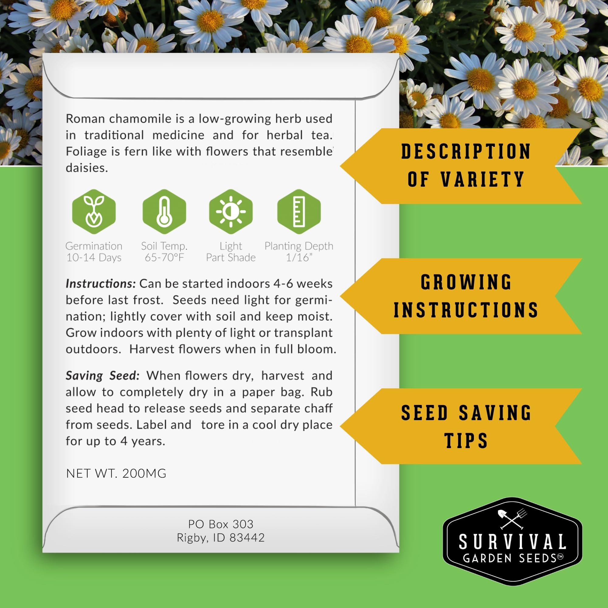 Survival Garden Seeds Chocolate Cherry Sunflower seeds attract pollinators and provide dramatic height