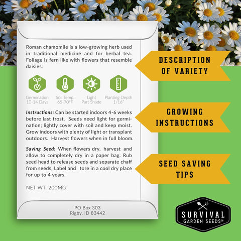 Survival Garden Seeds Chocolate Cherry Sunflower seeds attract pollinators and provide dramatic height