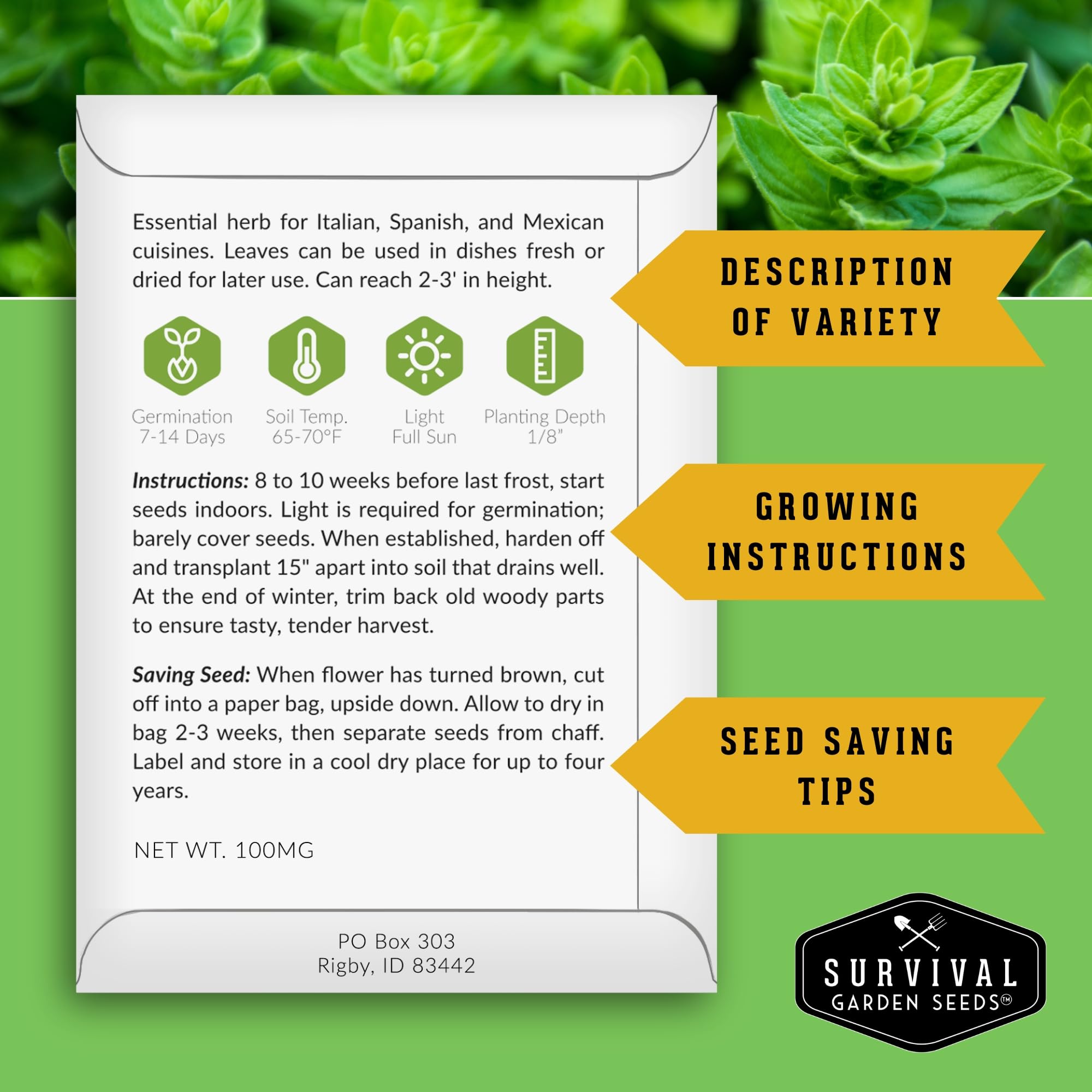 Survival Garden Seeds cilantro leaves close-up, ideal for salsas and garnishes.