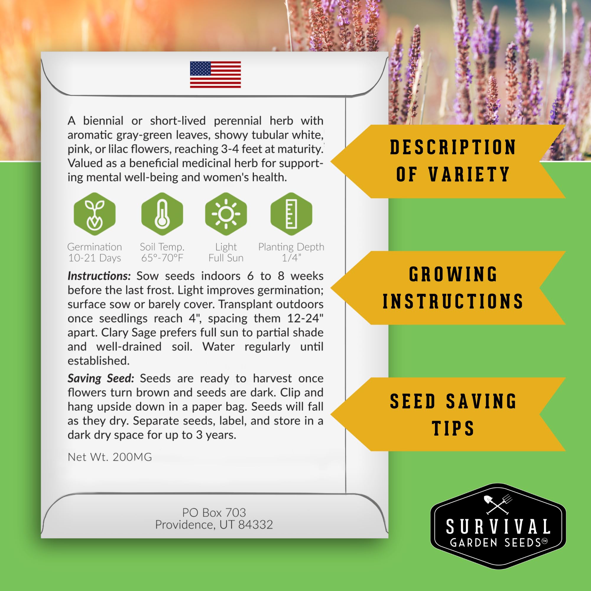 SURVIVAL GARDEN SEEDS Clary Sage blooms attract pollinators and add color.
