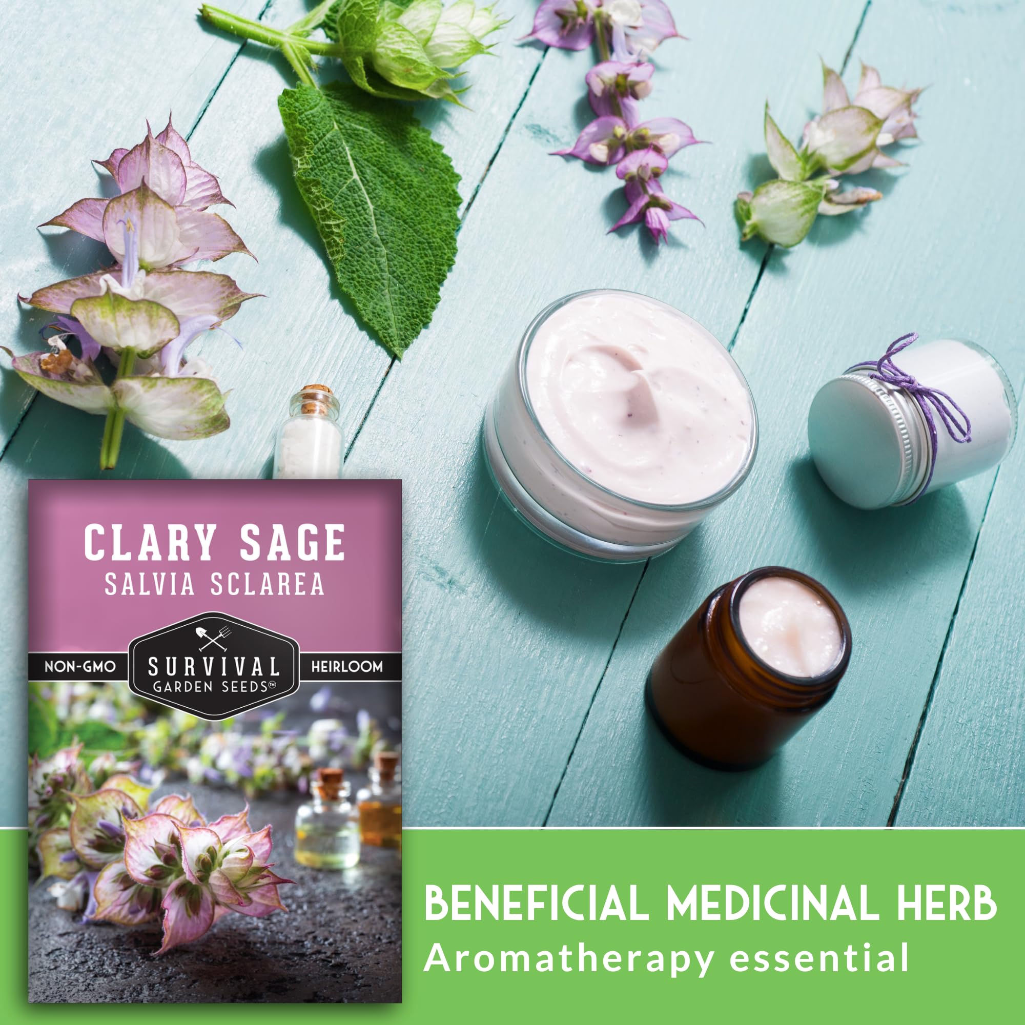 SURVIVAL GARDEN SEEDS Clary Sage seeds germinate in 10-21 days.