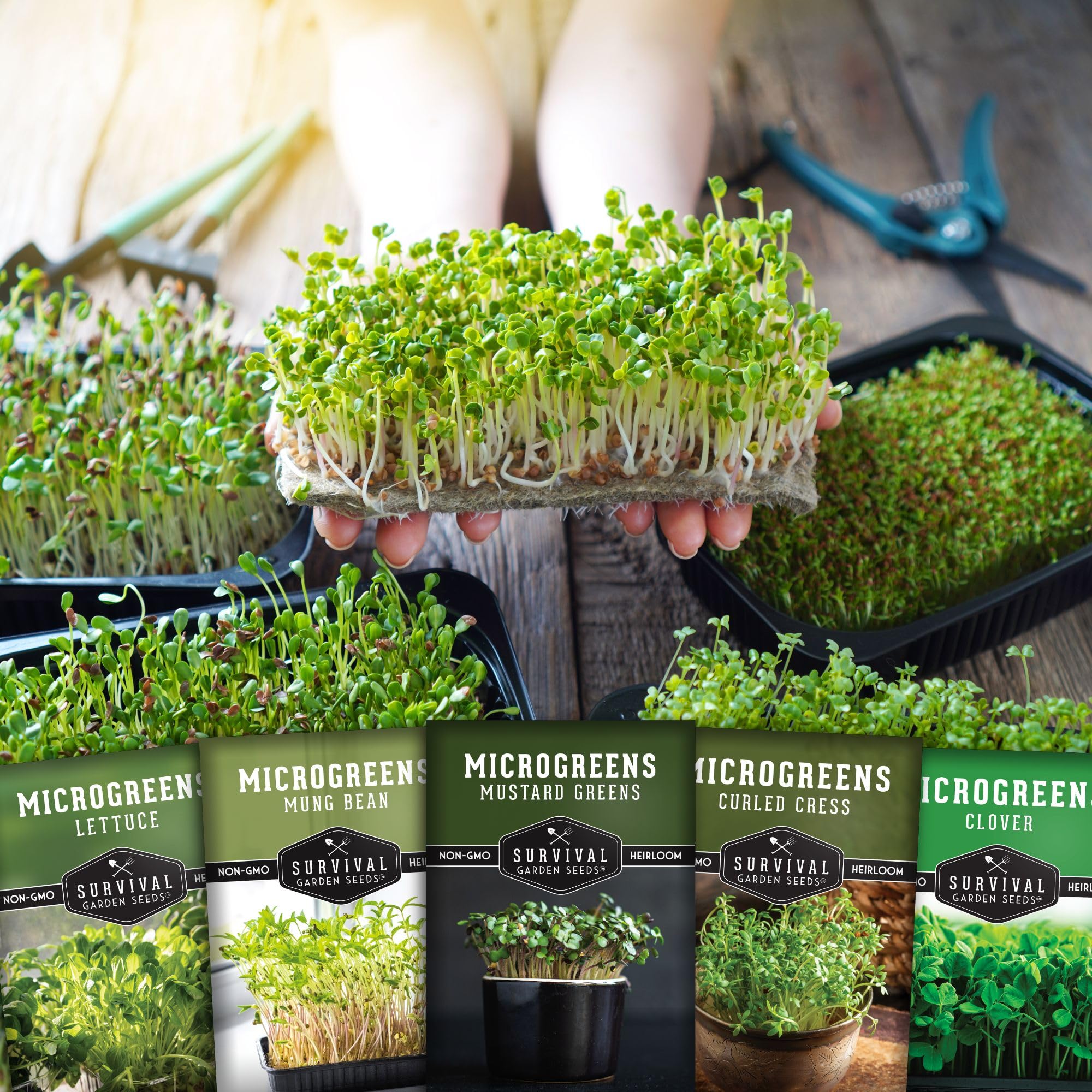 SURVIVAL GARDEN SEEDS clover microgreens seeds deliver delicate color and flavor.