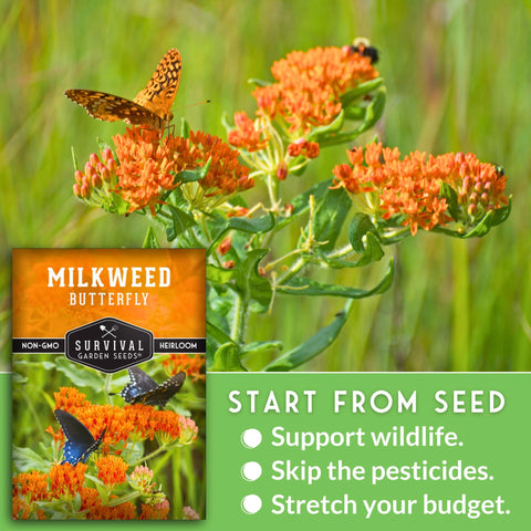 Survival Garden Seeds guide to cold stratification improves germination readiness