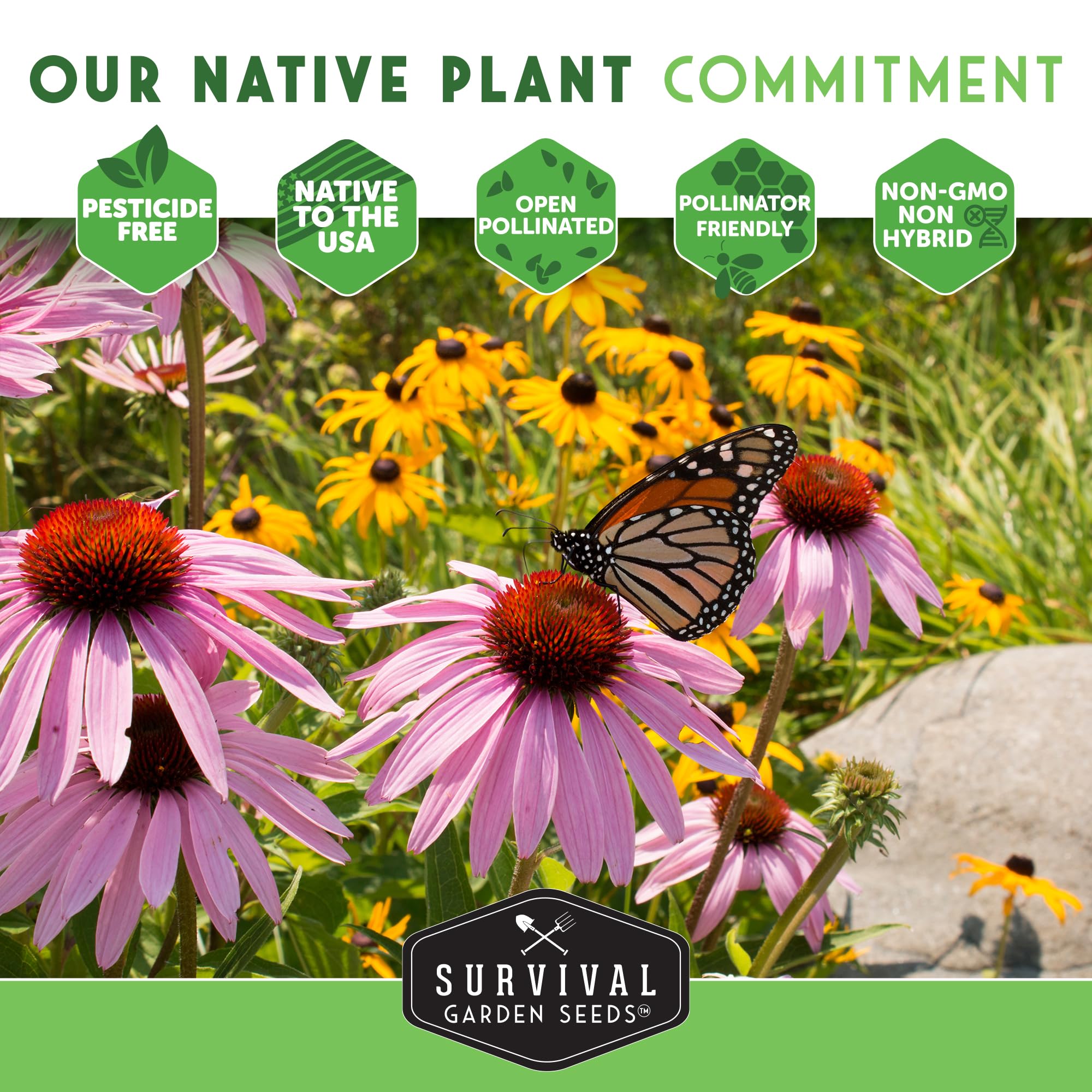 Survival Garden Seeds compact native perennial growing 12-18 inches tall