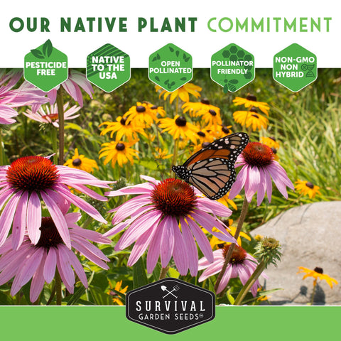 Survival Garden Seeds compact native perennial growing 12-18 inches tall