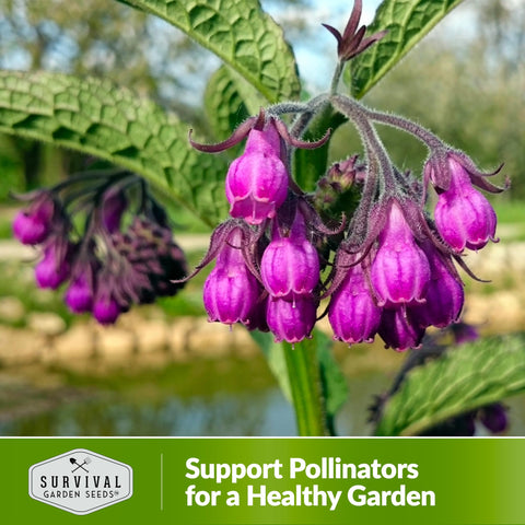 SURVIVAL GARDEN SEEDS compost tea-ready foliage contributes nutrients to soil.