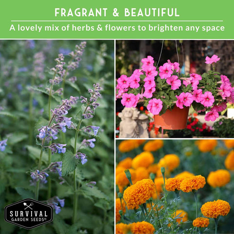 SURVIVAL GARDEN SEEDS Crackerjack marigold seeds for vibrant color and garden pest deterrence.