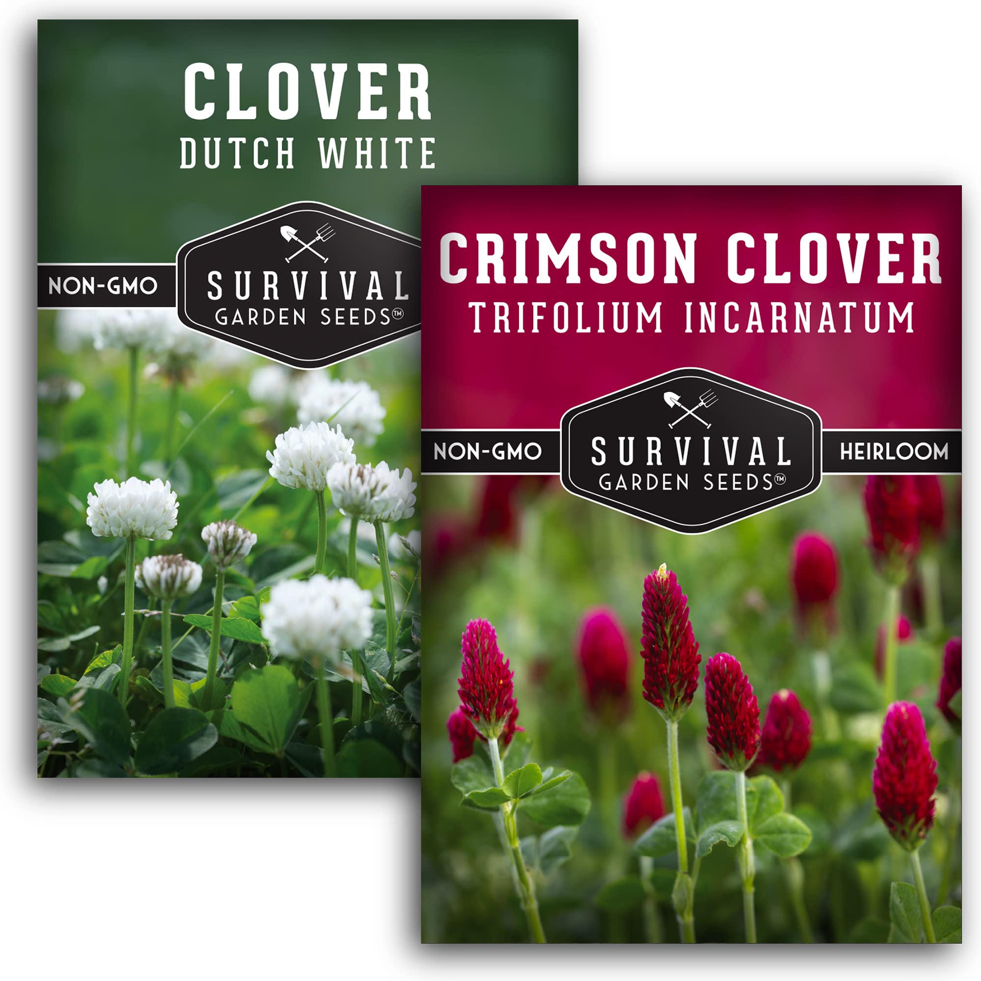 SURVIVAL GARDEN SEEDS Crimson Clover packet ready for planting and rapid ground cover