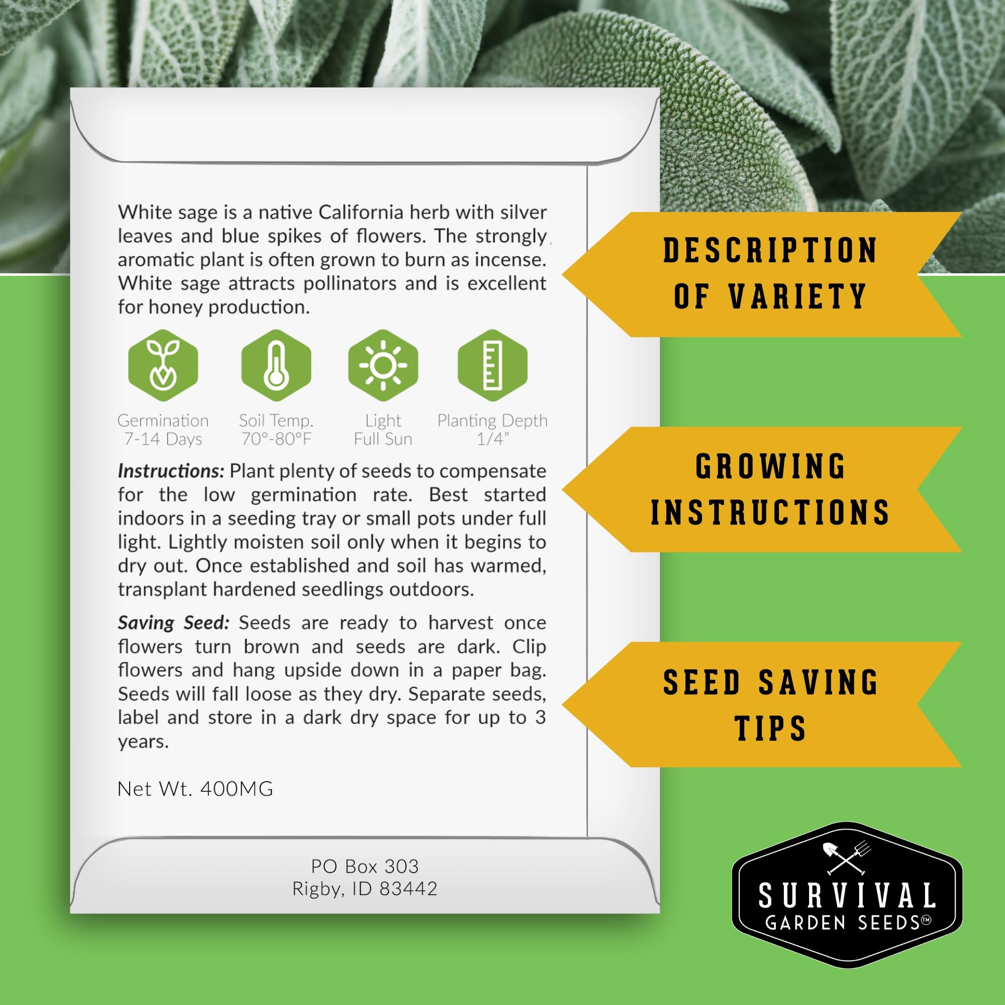 SURVIVAL GARDEN SEEDS Culinary Sage seed packet for versatile kitchen use