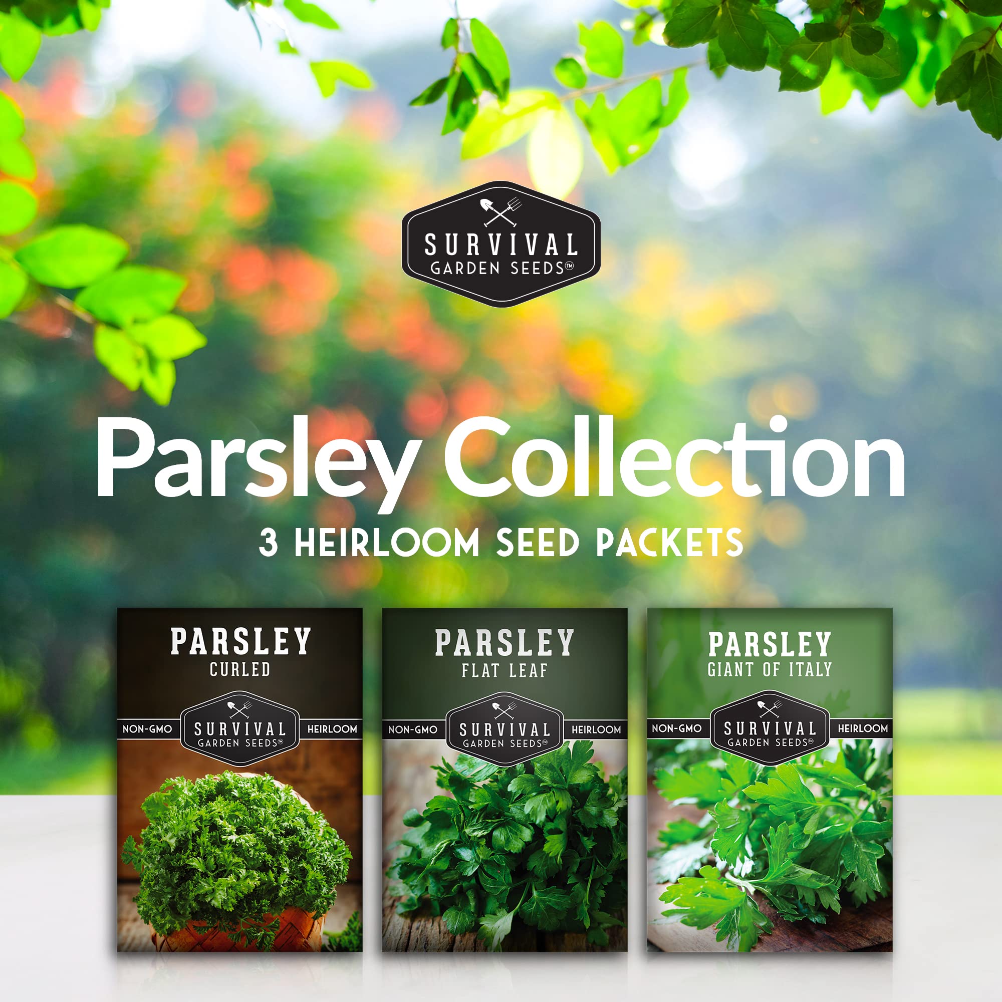 Survival Garden Seeds curly parsley seeds for vibrant, decorative foliage in pots