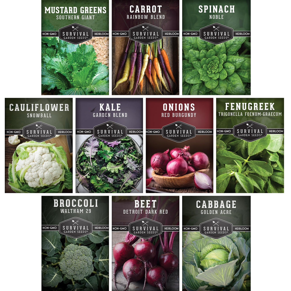 Survival Garden Seeds Detroit Dark Red Beet offers crisp roots for fresh spring salads