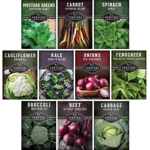 Survival Garden Seeds Detroit Dark Red Beet offers crisp roots for fresh spring salads