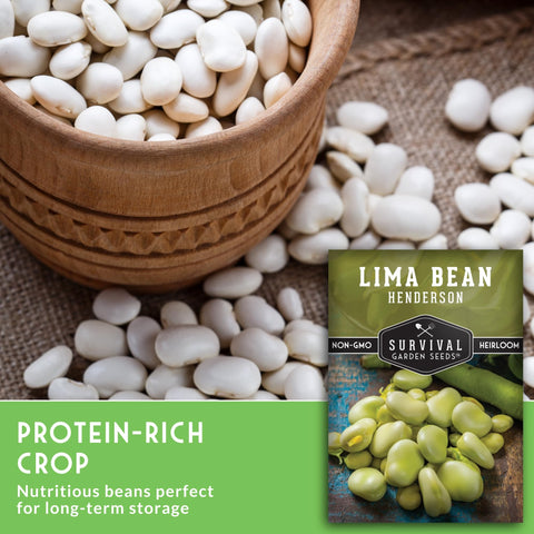 SURVIVAL GARDEN SEEDS Drought-resistant beans; resilience in sunny garden conditions.