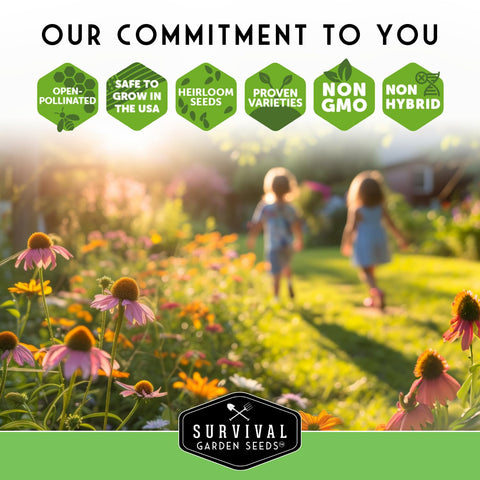 SURVIVAL GARDEN SEEDS Drought-tolerant sunflowers thrive in hot summers