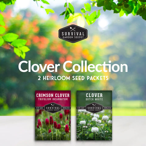 SURVIVAL GARDEN SEEDS Dutch White Clover packet supports soil health and pollinators