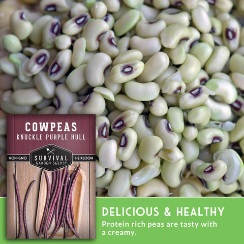 SURVIVAL GARDEN SEEDS Easy-to-grow cowpeas for new gardeners.