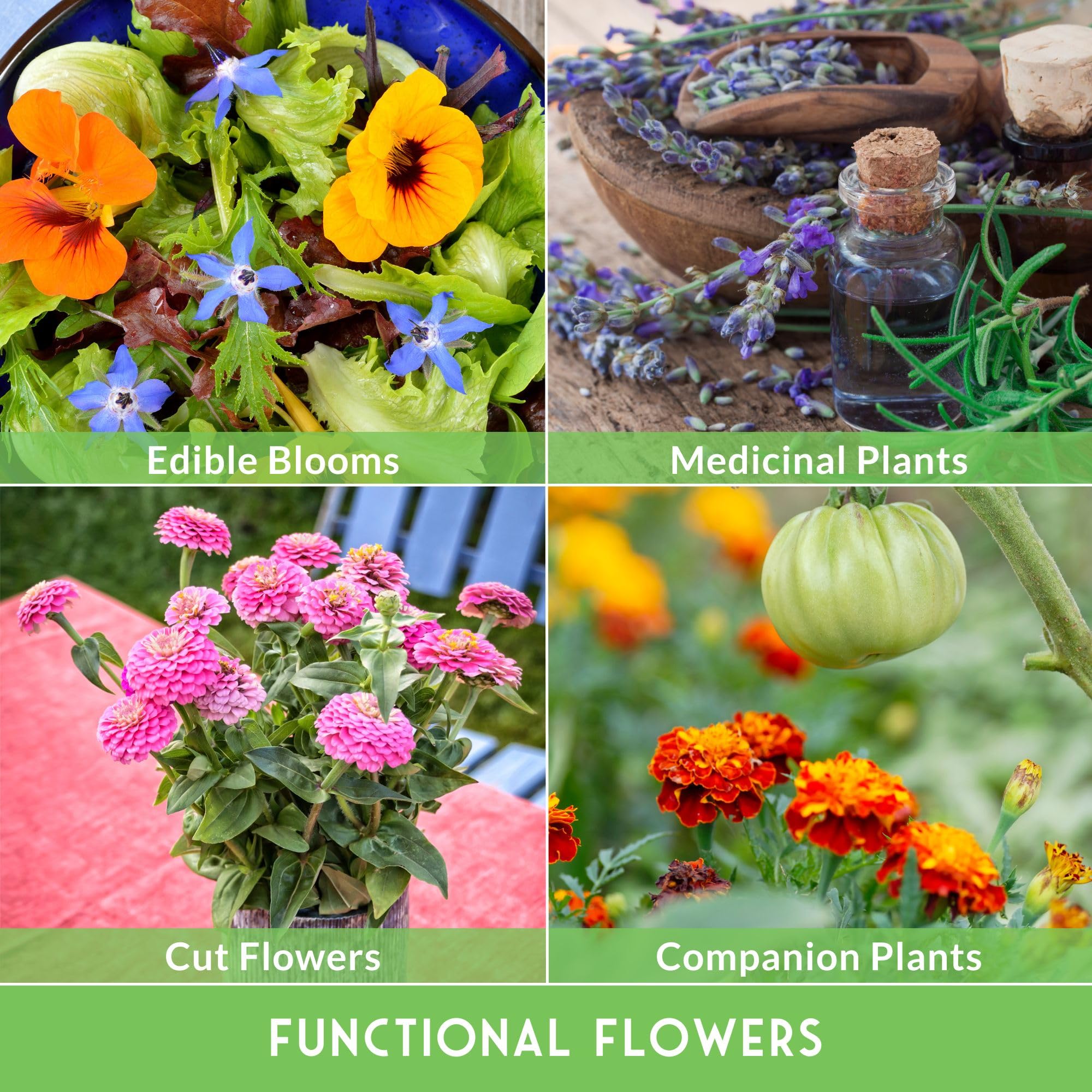 Survival Garden Seeds easy-to-grow starter kit for beginner gardeners.