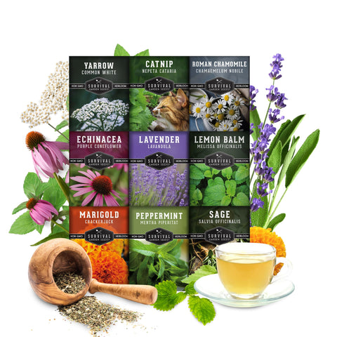 Survival Garden Seeds echinacea seeds for herbal teas and simple remedies.