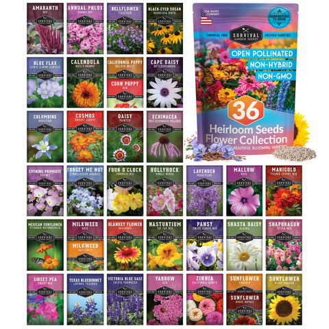 Survival Garden Seeds flower seed kit 36 packets adds vibrant pollinator-friendly blooms.