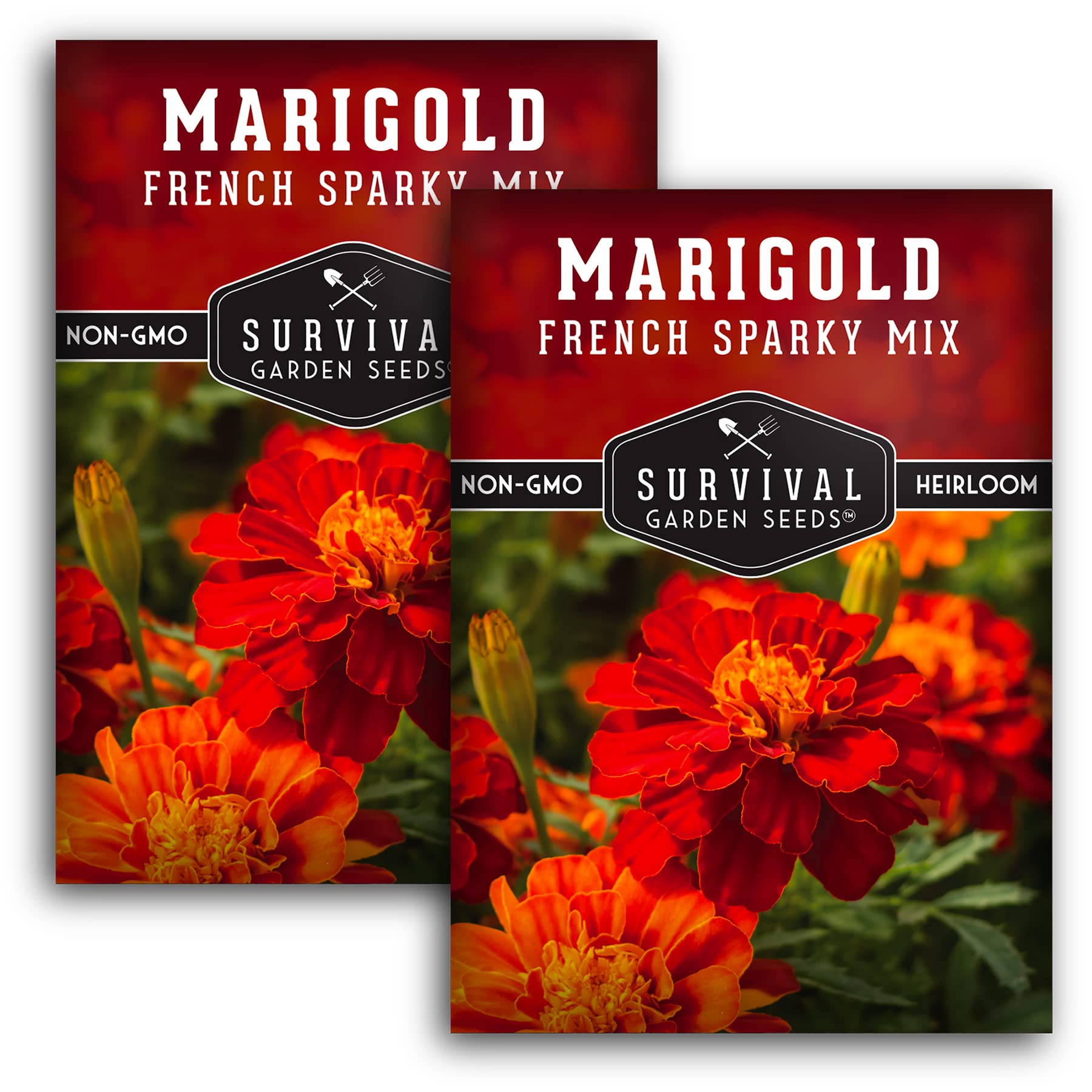 Survival Garden Seeds French Sparky marigold bloom close-up highlights vibrant color.