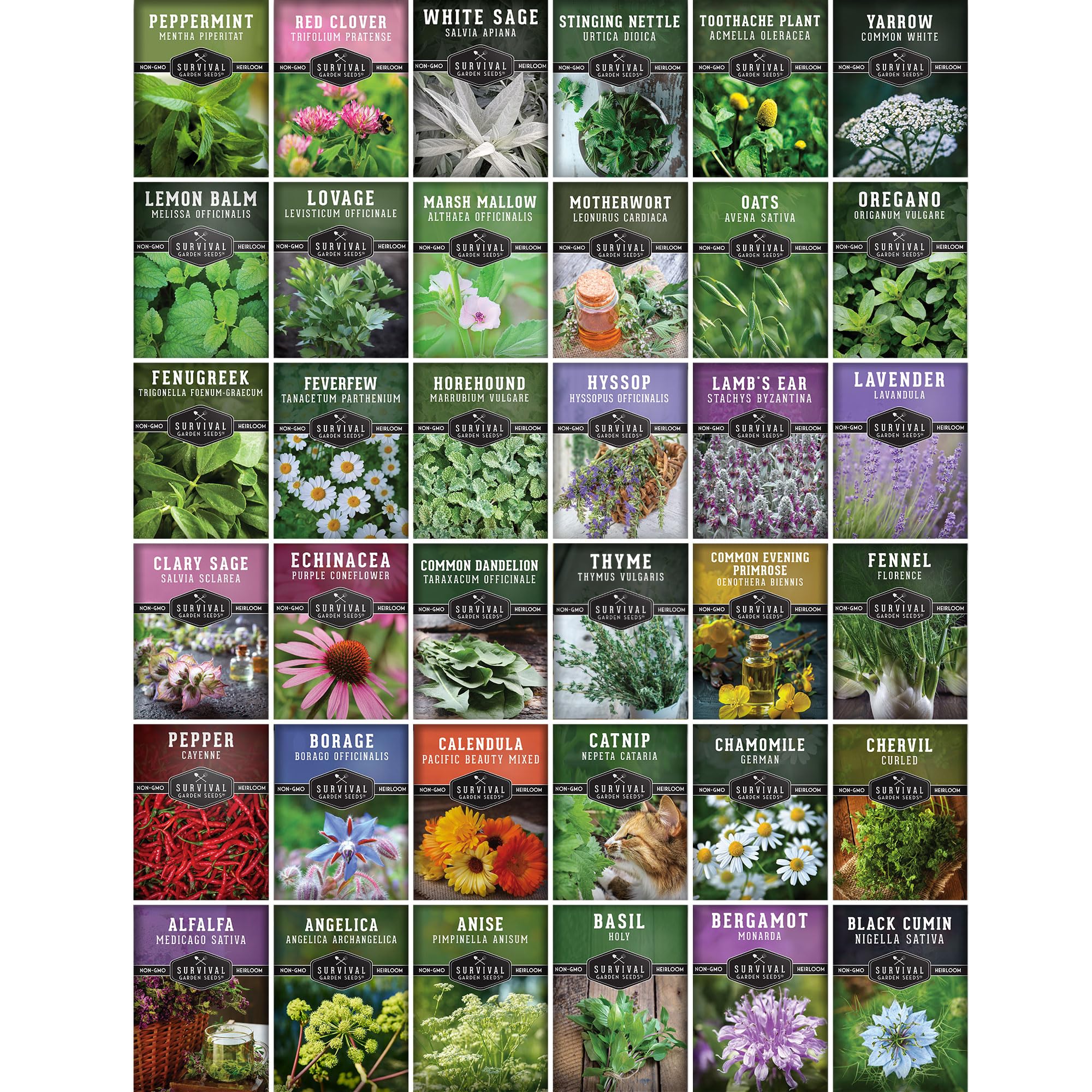 SURVIVAL GARDEN SEEDS germination-ready seeds—packaged for simple planting at home.