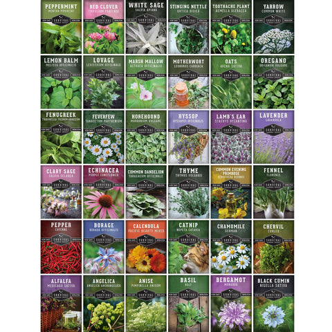 SURVIVAL GARDEN SEEDS germination-ready seeds—packaged for simple planting at home.