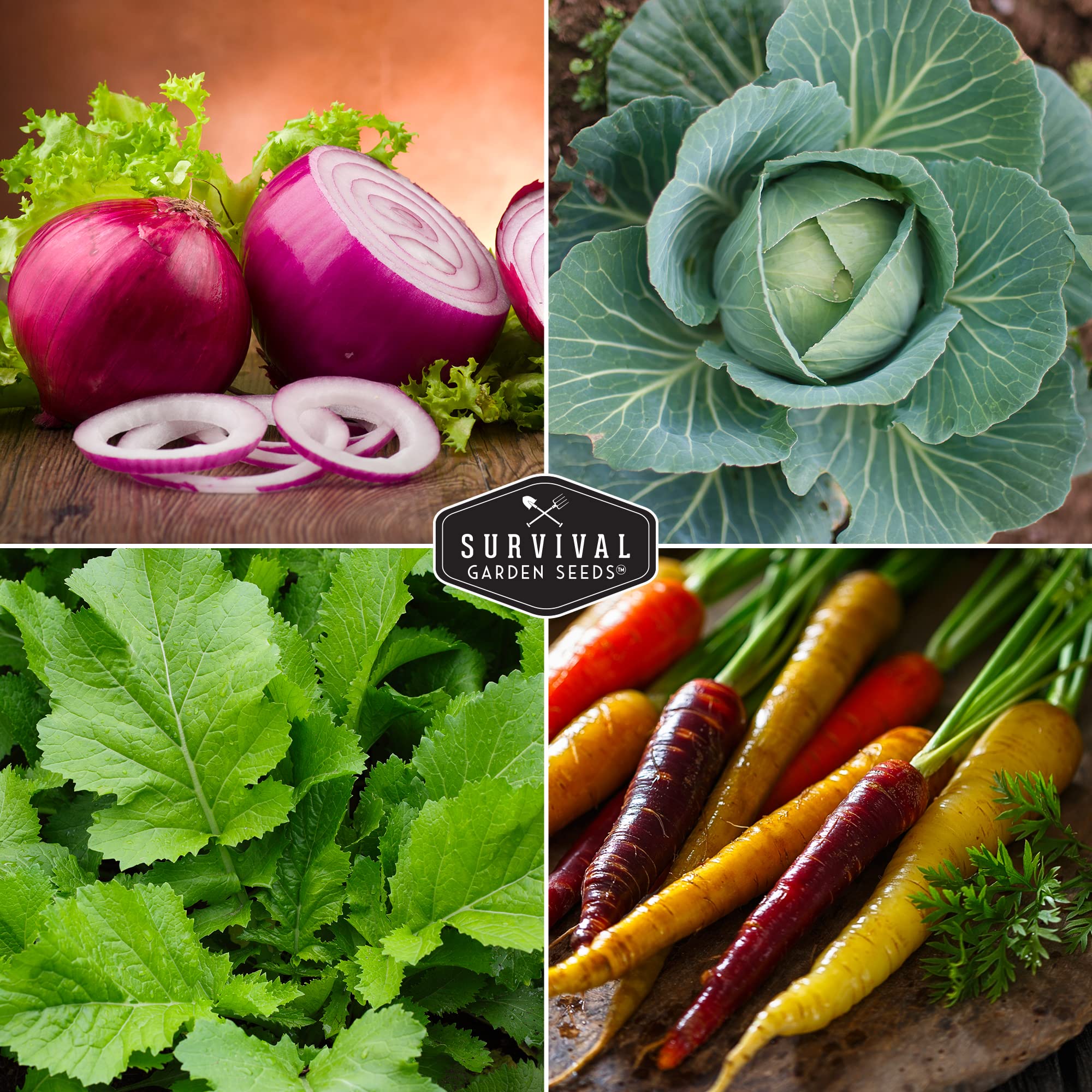 Survival Garden Seeds Giant Noble Spinach yields tender leaves for salads and sautés