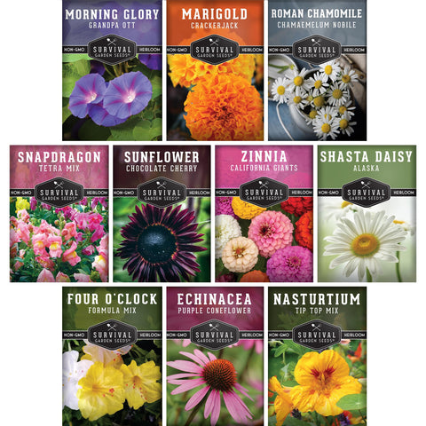 Survival Garden Seeds Giant Zinnia seeds for vibrant borders and long-lasting color