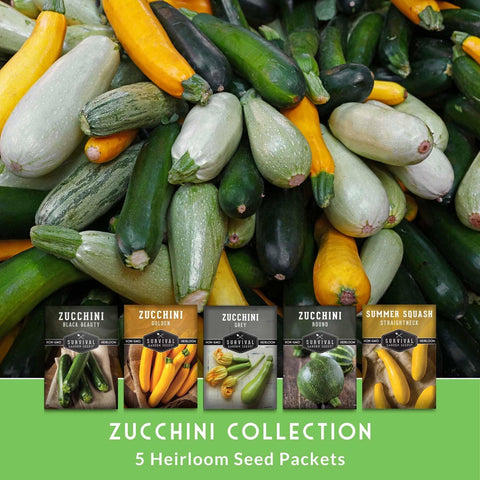 Survival Garden Seeds Golden zucchini seed packet for bright summer harvests