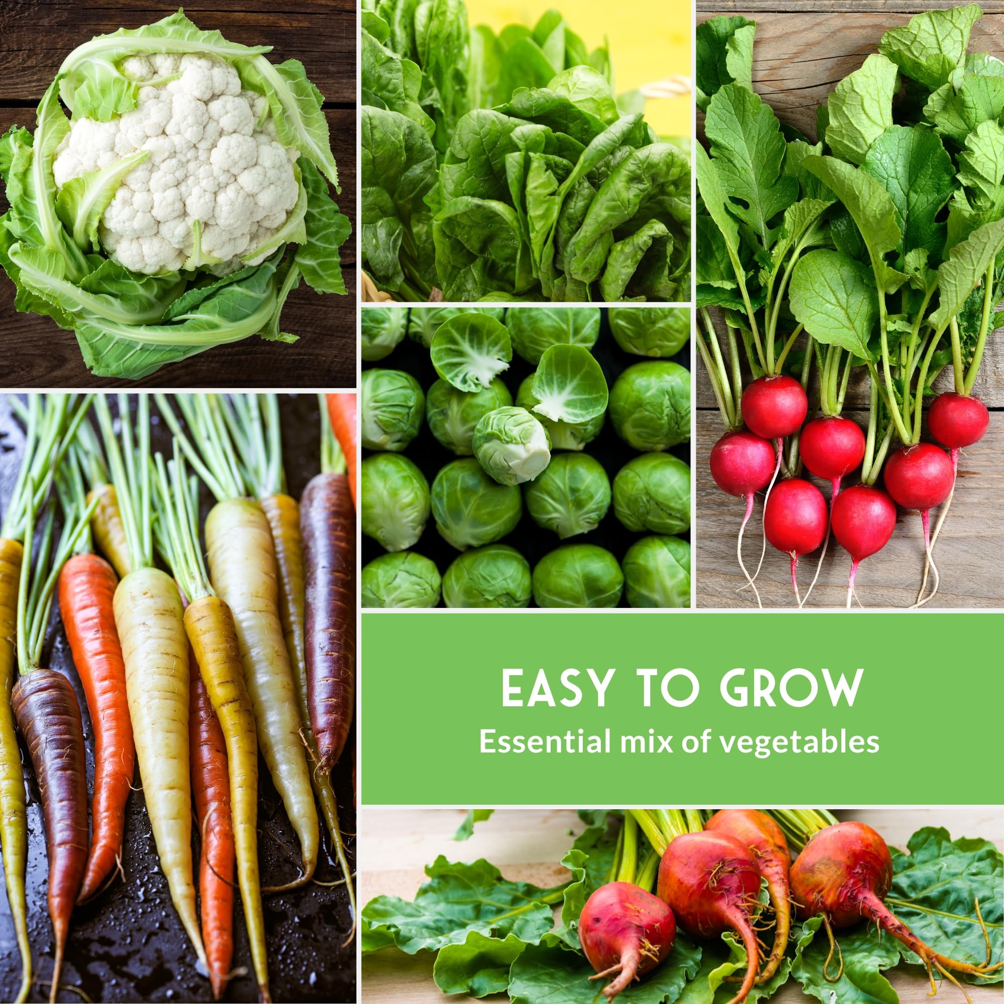 SURVIVAL GARDEN SEEDS grow-light indoor setup illustrating winter gardening options.
